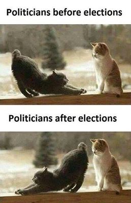 Politicians.jpg