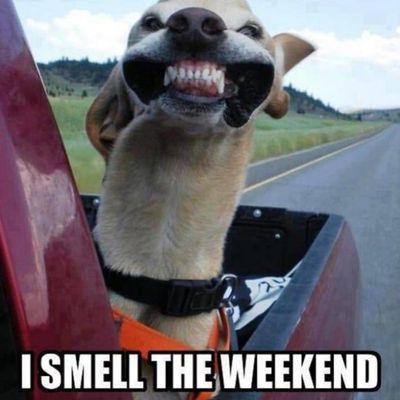 Smell weekend.jpg