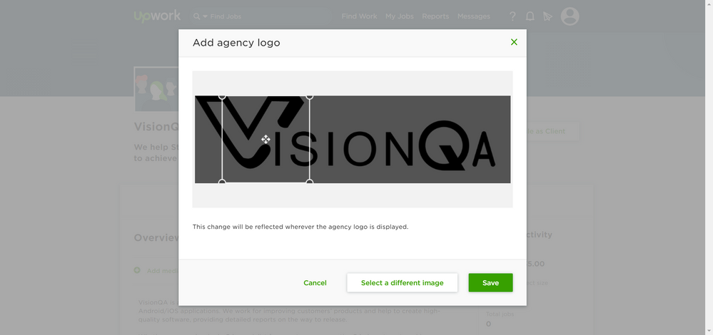 VisionQA-Services-Upwork.png