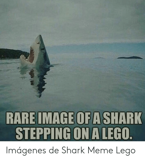 rare-image-of-a-shark-stepping-on-a-lego-imágenes-52513129.png