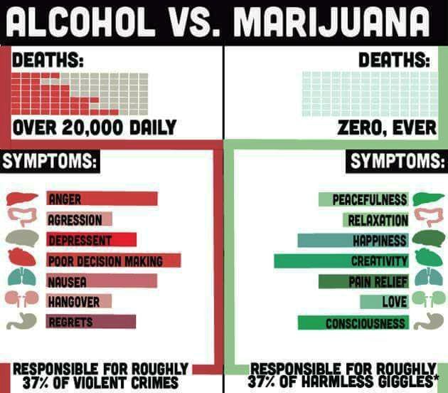 Alcohol_vs_Marijuana.jpg